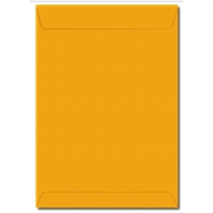 Envelope Ouro 240 185x248