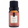 ESSÊNCIA 10ml CANELA VIA AROMA